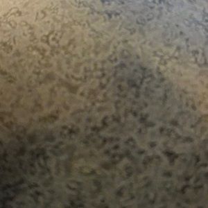 Meet your Posher, Jerry